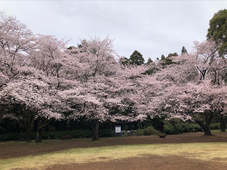 の投稿画像3枚目