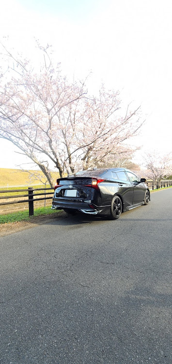 プリウスの春探しの旅・サクラと愛車・桜とコラボ🌸・コロナウイルスに負けるな !!に関するカスタム事例の投稿画像2枚目