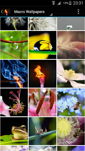 Macro Backgrounds