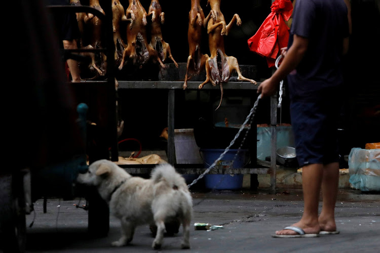 A man walks with his pet dog as he talks to a vendor who sells dog meat at a market during the local dog meat festival in Yulin, Guangxi Autonomous Region, China June 21, 2018.