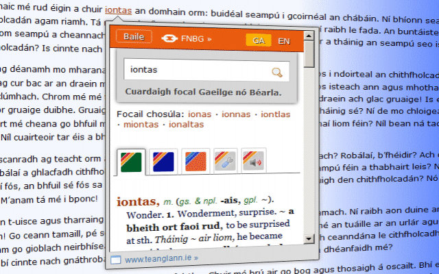 Teanglann.ie - An Foclóirí Preview image 0