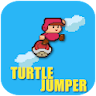 Turtle Bros Jumper icon