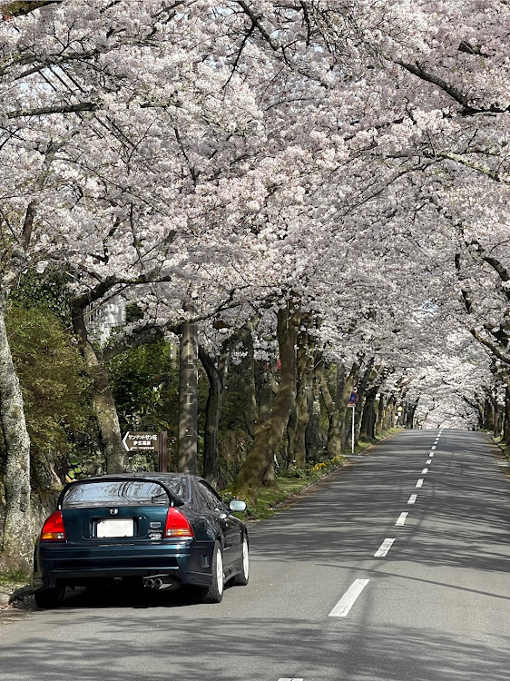 の投稿画像1枚目