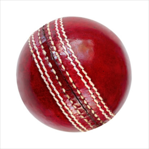 Cricket ball. File photo.