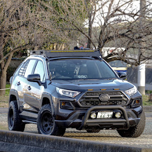 RAV4 MXAA54