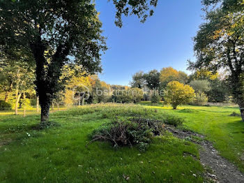 maison à Val d'Oust (56)