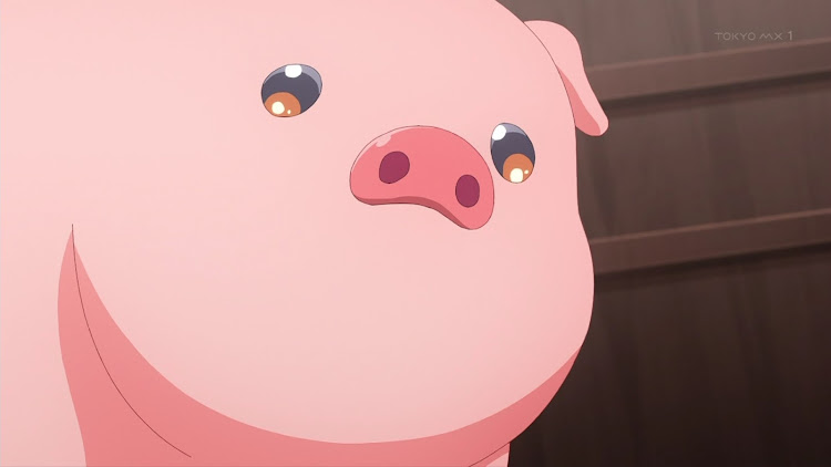 スイフトスポーツのぷM・オイル交換・ブレーキパッド交換・準備中・アニメ好きに関するカスタム事例の投稿画像6枚目