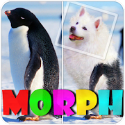 Morphing Animals. Dog  Icon