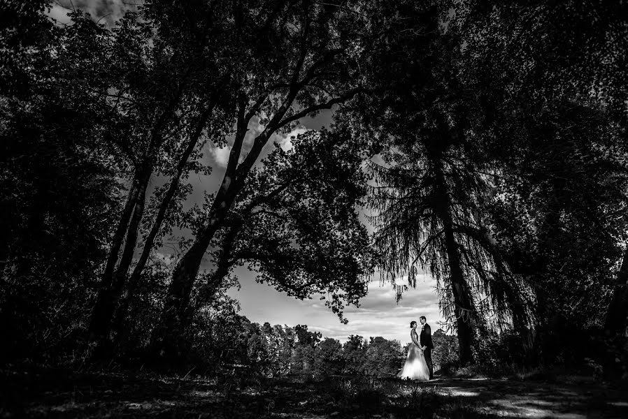 Fotografo di matrimoni David Hallwas (hallwas). Foto del 7 settembre 2018