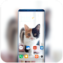 App herunterladen Pet animal theme | cute wallpaper for xia Installieren Sie Neueste APK Downloader