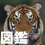 Cover Image of Download 動物図鑑 1.13 APK