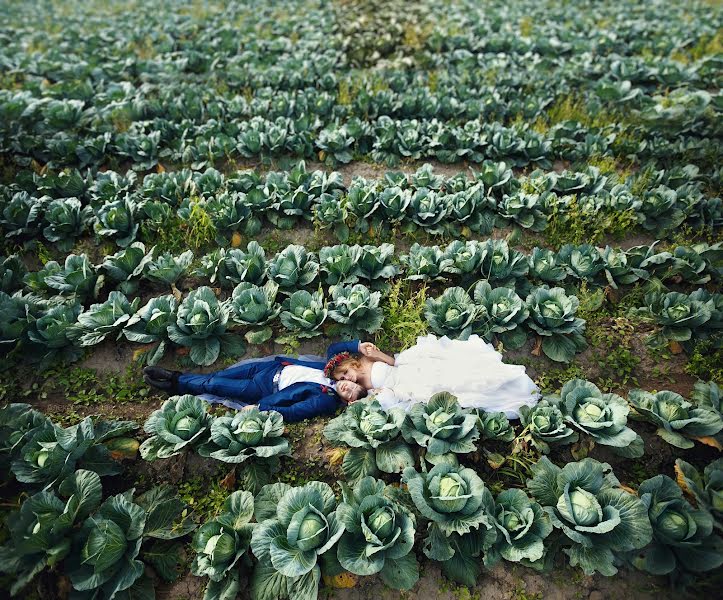 Photographe de mariage Aleksey Kozlov (kozlove). Photo du 9 octobre 2014