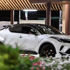 C-HR ZYX11