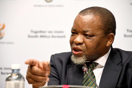 ANC national chairperson Gwede Mantashe says national government must have the responsibility to create an environment for employment. File photo.