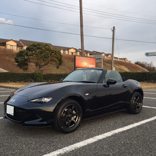 マスロドのプロフィール画像