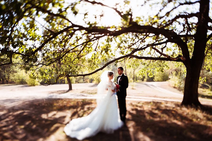 Photographe de mariage Anastasiya Beloglazova (abeloglazova). Photo du 26 mai 2016