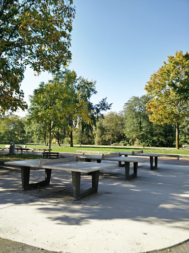 Ping Pong im Park