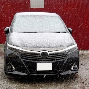 SAI AZK10