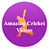 Amazing Cricket Videos icon