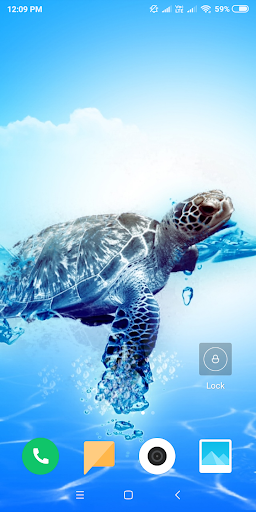 Turtle HD Wallpaper