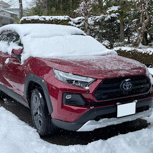RAV4 AXAH54