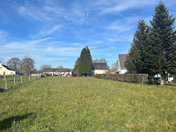 terrain à Saint-Jean-la-Poterie (56)