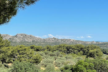 maison à Saint-Rémy-de-Provence (13)