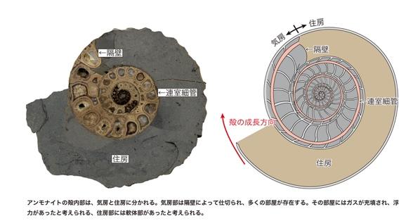 ダイアグラム が含まれている画像

自動的に生成された説明