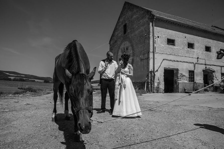 Wedding photographer László Zombori (zombori). Photo of 24 February 2019