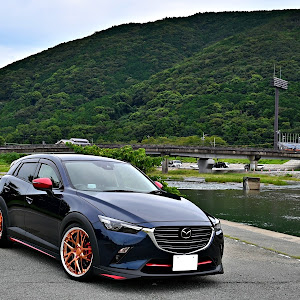 CX-3 DKEFW