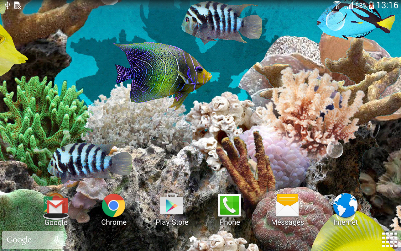 Coral Fish 3D Live Wallpaper Apl Android Di Google Play