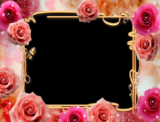 Colorful Flowers Photo Frames