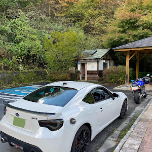 BRZ ZC6