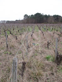 terrain à Queyrac (33)