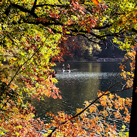 Autunno sul lago di 