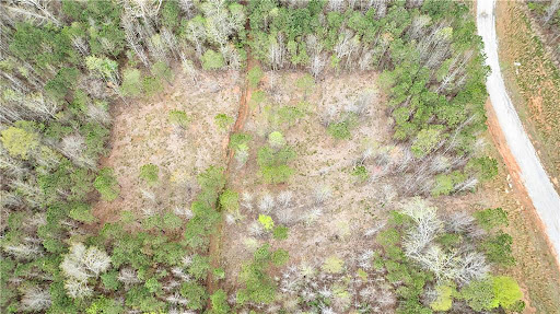 Terrain 1