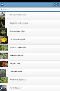   Medicinal herbs- screenshot thumbnail   