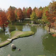 澄霖沉香味道森林館