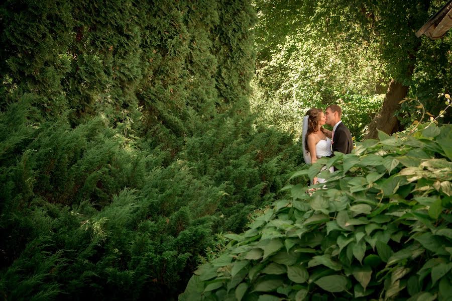 Wedding photographer Evgeniy Kinyaev (kinyaevfoto). Photo of 11 October 2016