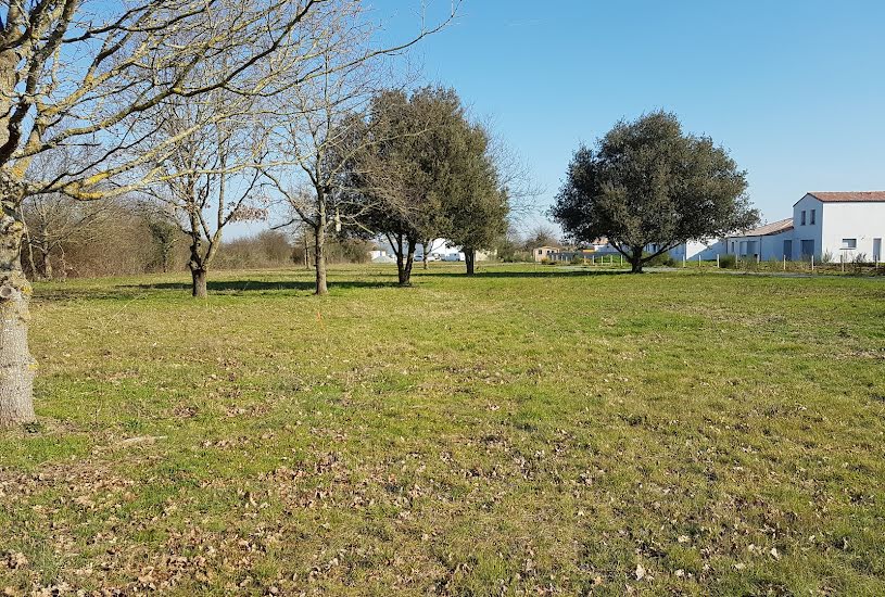  Vente Terrain + Maison - Terrain : 485m² - Maison : 104m² à Corcoué-sur-Logne (44650) 