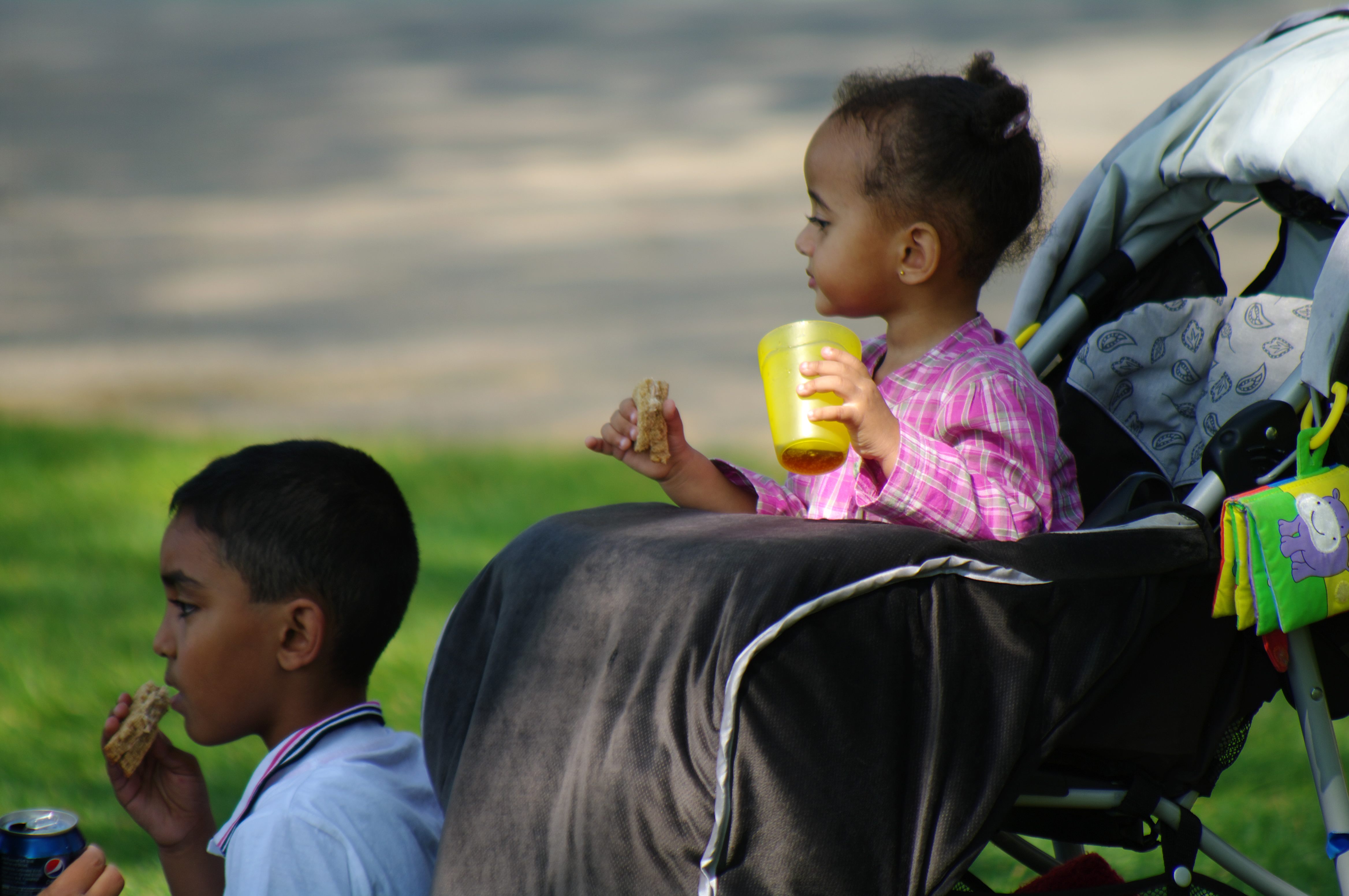 Pic Nic in the Park di Ivano Bolgan