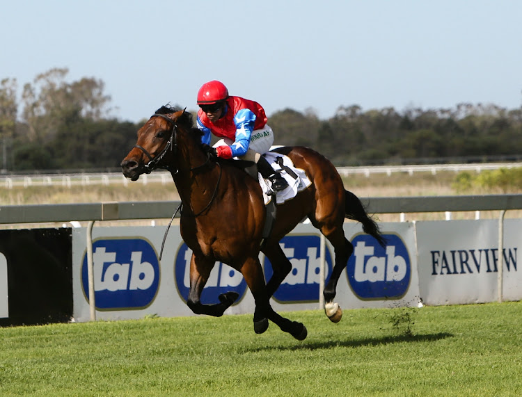 FLYING HOME: Morne Winnaar rides four-year-old gelding Cat Daddy to victory in the Algoa Cup at Fairview racecourse in Port Elizabeth on Sunday