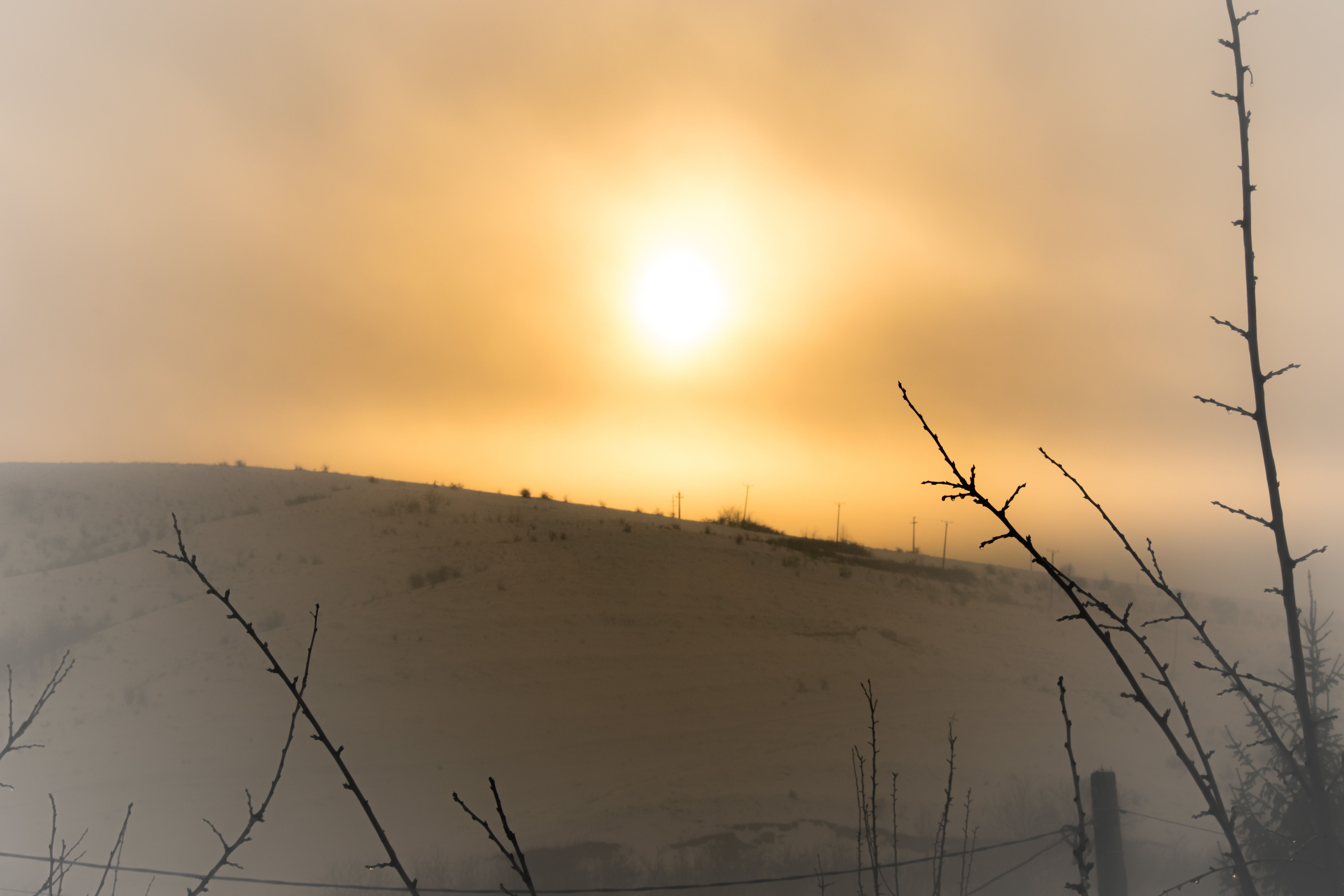 Apocalittica invernale di Bobp