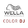 Color DJ icon