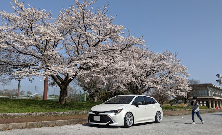 カローラツーリングのカローラツーリング・桜と愛車・桜とコラボ・桜に関するカスタム事例の投稿画像3枚目
