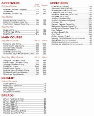 Basmati's Briyani Nation menu 3