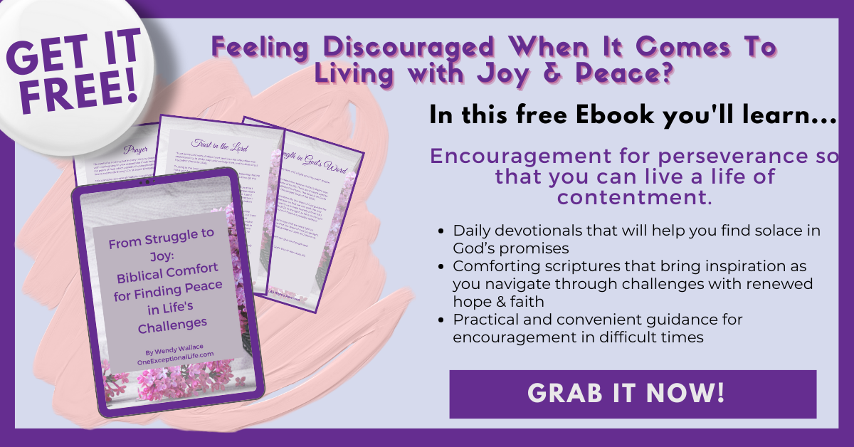 Grab your Biblical Comfort Ebook Now