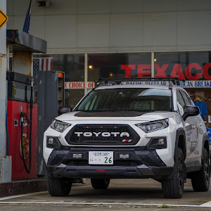 RAV4 MXAA54