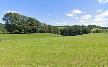 terrain à Jussac (15)