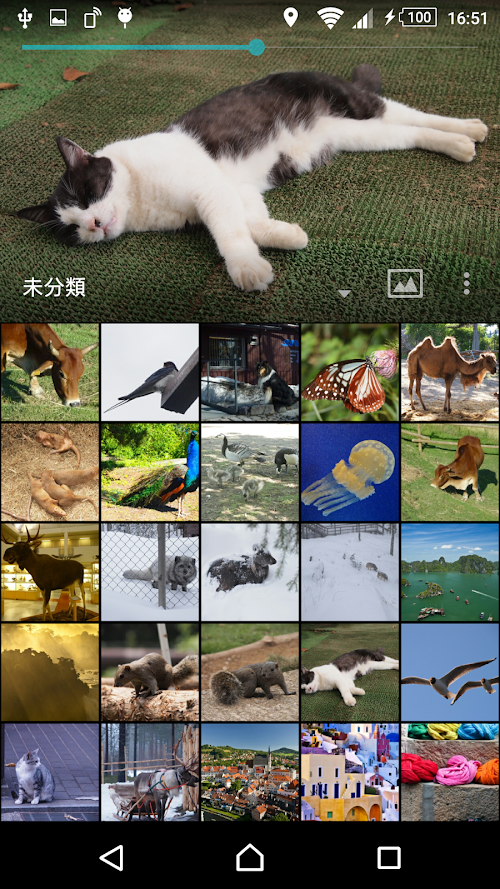 Android application EKTPicture －タグ付け写真管理アプリ－ screenshort